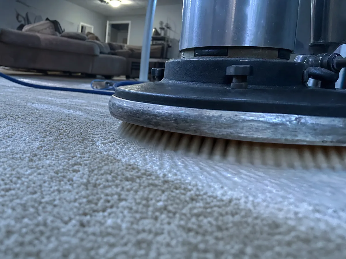 Dry Carpet Cleaning in Studio City, CA