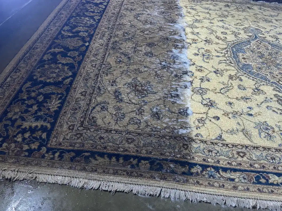 Rug Cleaning in Studio City, CA