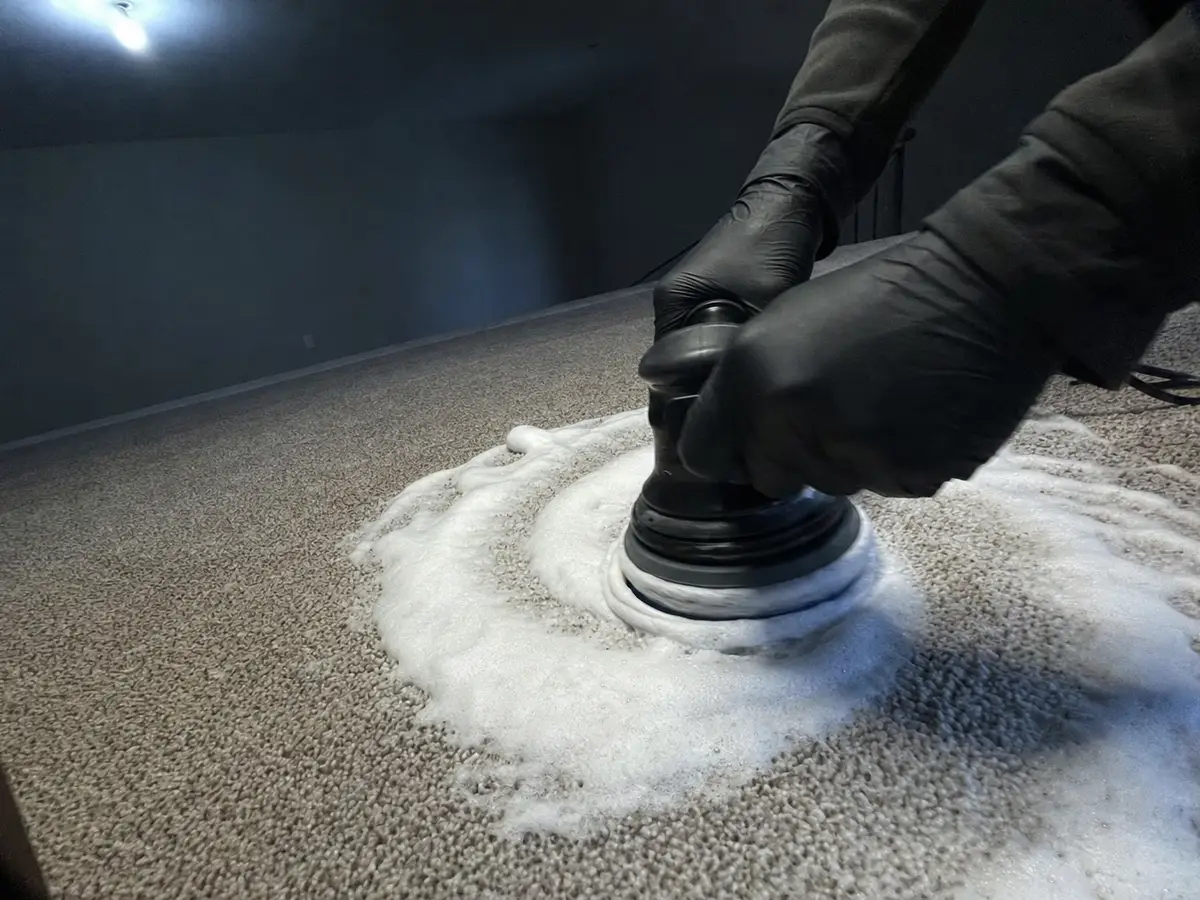 Carpet Shampooing in Studio City, CA