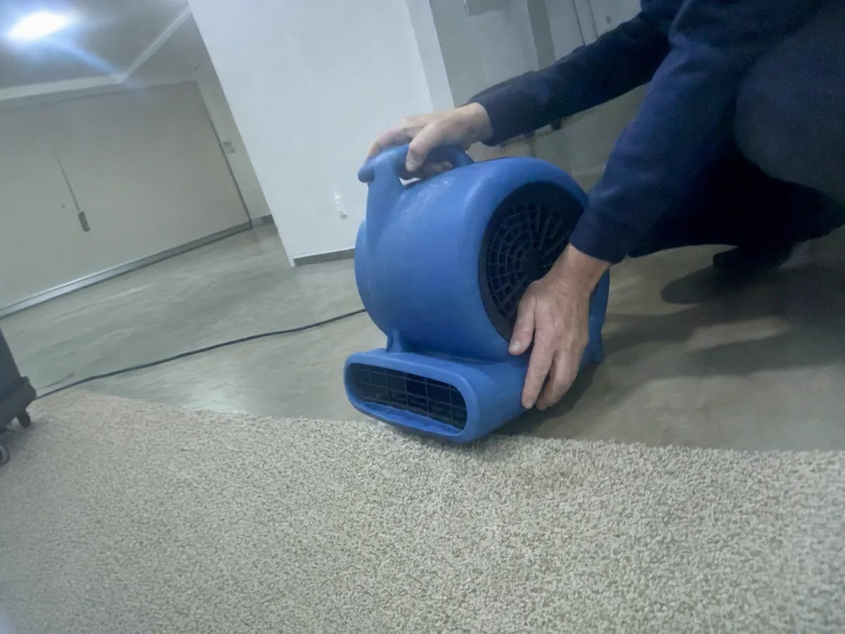 carpet cleaning technician on the job in Studio City, CA